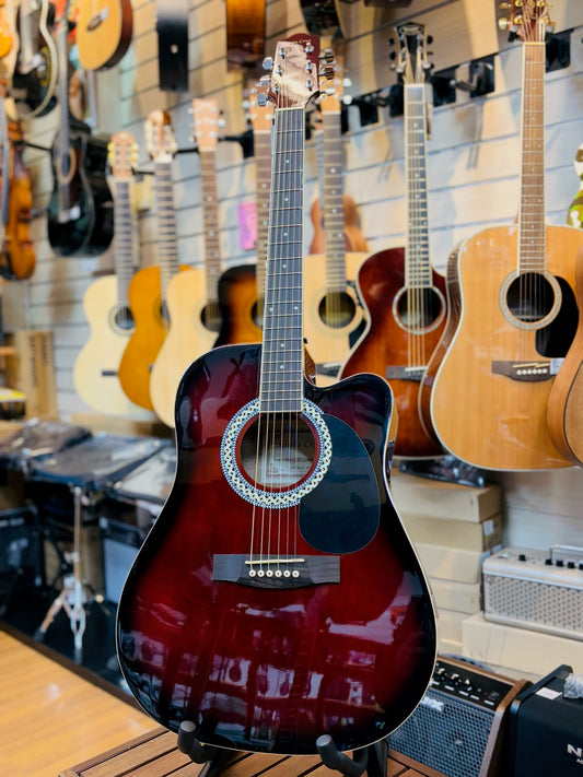 Santa Cruz Acoustic Guitar w/Preamp DG100CE WRS