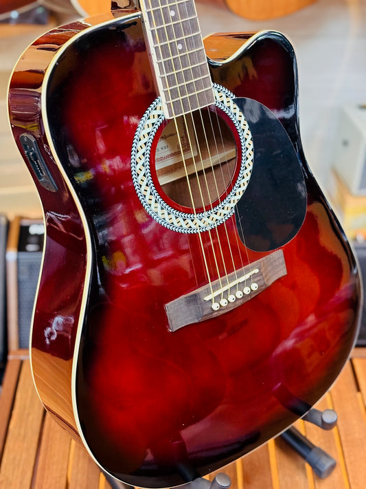 Santa Cruz Acoustic Guitar w/Preamp DG100CE WRS