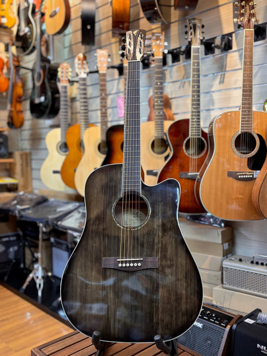 Dee Why Acoustic Guitar w/EQ ADG200CSDEQ TBK